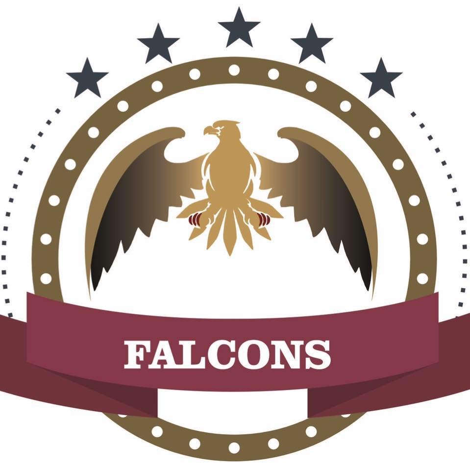 Majestic Eagle in Flight The Eagles Team Logo | MUSE AI
